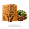 plant therepy kit natural groww plant in coco waste uneako