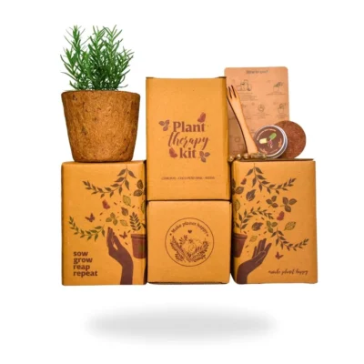 plant therepy kit natural groww plant in coco waste uneako