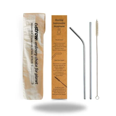 ExStraw ordinary Eco-friendly Steel straw